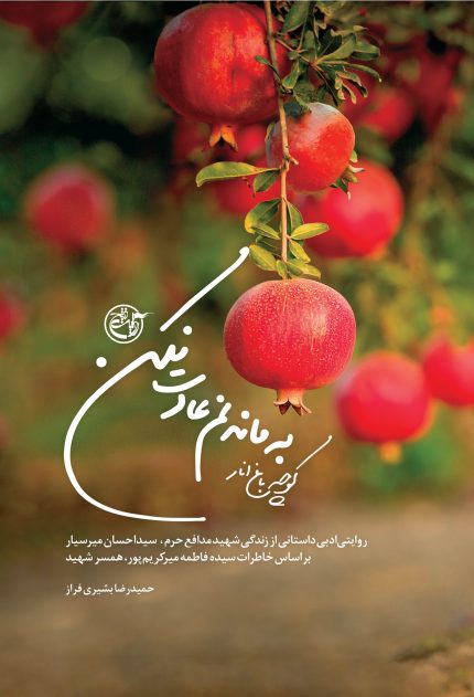 کوچه باغ انار به ماندنم عادت نکن